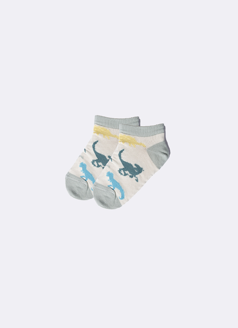 E23T-23C101 , Детски машки чорапи